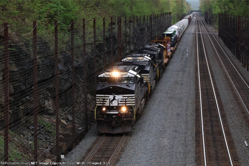 NS 4394